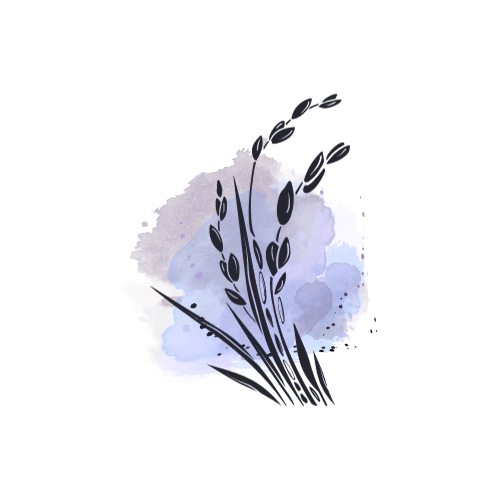 Menu de la semaine au Riz